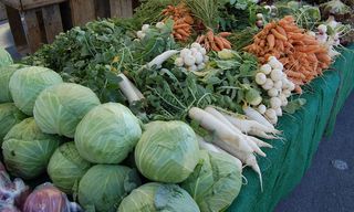 Bigstockphoto_Vegetables_1364471