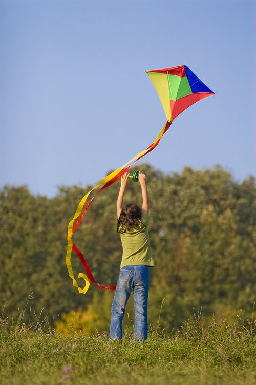 Bigstock_Kites_2762101